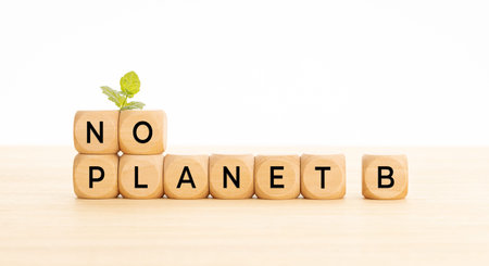 No Planet B phrase in wooden blocks on table. White background. Copy spaceの写真素材