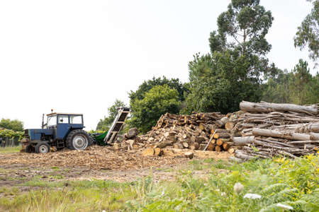 Rural scene with stacked trees and a tractor with wood splitter to chop firewood. Copy spaceの写真素材