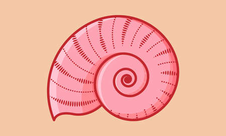 Nautilus shell icon. Colorful nautilus conchのイラスト素材