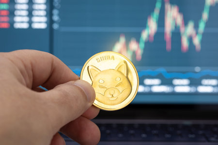 Hand holding a Shiba coin and chart on laptop display at background. Cryptocurrency trading or...