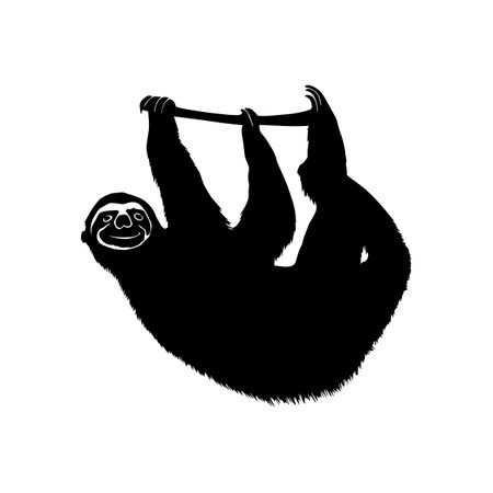 Sloth on the branch silhouette isolated on white background. Vector illustrationのイラスト素材