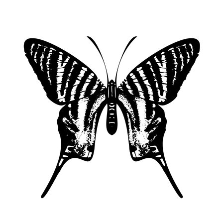 Elegant Butterfly Silhouette isolated on white background. Vector illustrationのイラスト素材