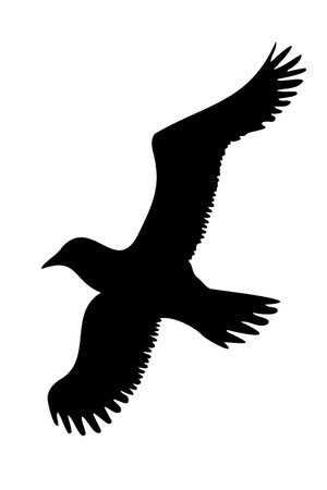 Seagull Bird flying silhouette isolated. Vector illustrationのイラスト素材