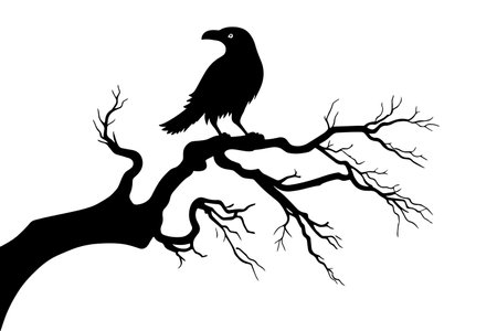 Raven on a branch of dry tree Silhouette. design element for Halloween. Vector illustrationのイラスト素材