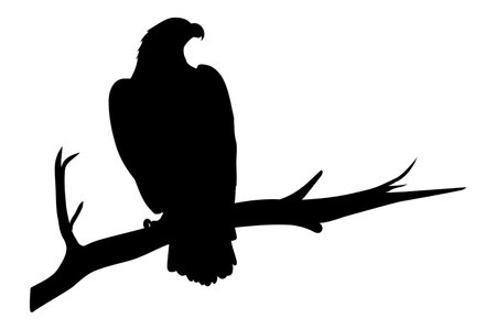 Eagle on tree branch silhouette isolated on white background. Vector illustrationのイラスト素材