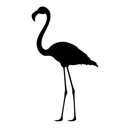 Flamingo silhouette isolated. Vector illustrationのイラスト素材