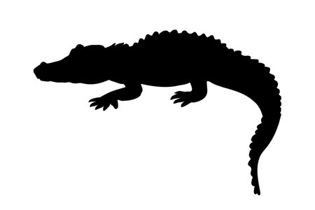 Crocodile alligator silhouette isolated. Vector illustrationのイラスト素材