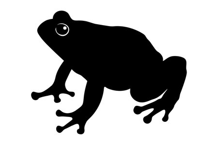Frog silhouette isolated. Vector illustrationのイラスト素材
