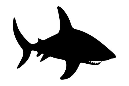 Shark silhouette. Vector illustrationのイラスト素材