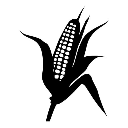 Corn cob silhouette icon isolated. Vector illustrationのイラスト素材
