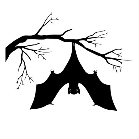 Halloween bat hanging on a branch silhouette. Vector illustrationのイラスト素材