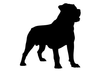 Rottweiler dog silhouette. Vector illustrationのイラスト素材