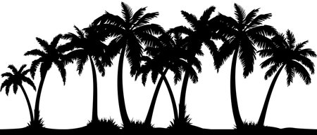 Palm forest treeline silhouette seamless border. vector illustrationのイラスト素材
