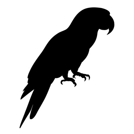 Parrot standing silhouette. Vector illustrationのイラスト素材