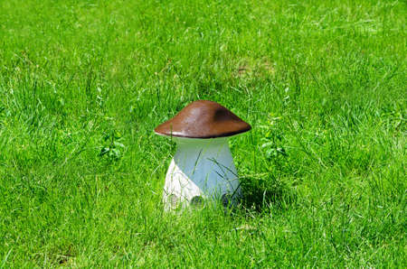 Large white mushroom on artificial meadow after rainの写真素材