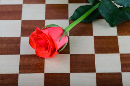 Red rose and a chess boardの写真素材