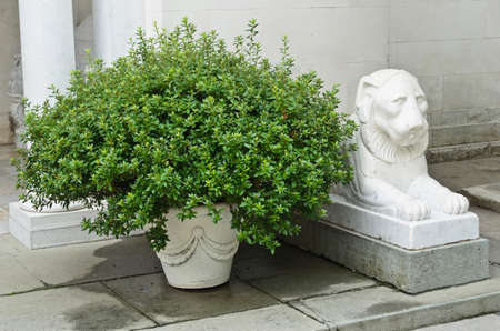 Marble statue and green bushの写真素材