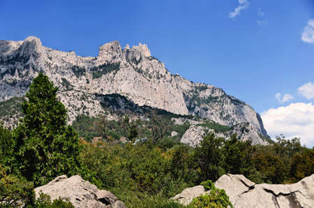 Big mountain with green trees and stonesの写真素材