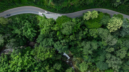 Aerial view car drive in green tree forest road winding road through the forest, Car drive on asphalt road between green tree forest, Electric vehicle EV car drive on asphalt road green tree forest.の写真素材