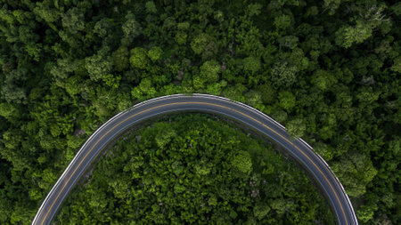 Aerial view road through the green forest, Car drive going through forest, Aerial top view forest, Texture of forest view from above, Ecosystem and healthy environment concept and background.の写真素材