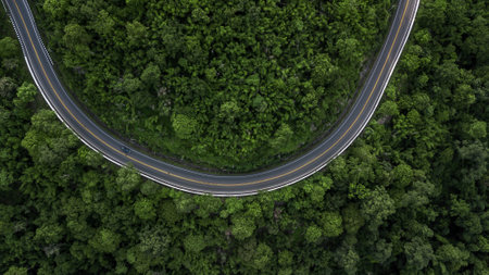 Aerial view road through the green forest, Car drive going through forest, Aerial top view forest, Texture of forest view from above, Ecosystem and healthy environment concept and background.の写真素材