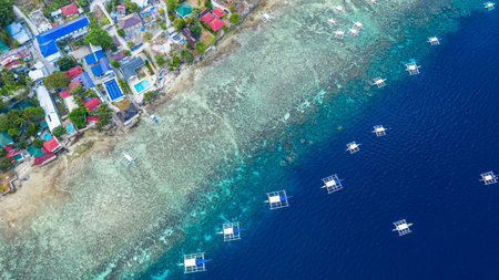 Aerial view of Moalboal Island with traditional filipino boat, Philiphines, Traditional Filipino...