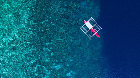 Aerial view of Moalboal Island with traditional filipino boat, Philiphines, Traditional Filipino...