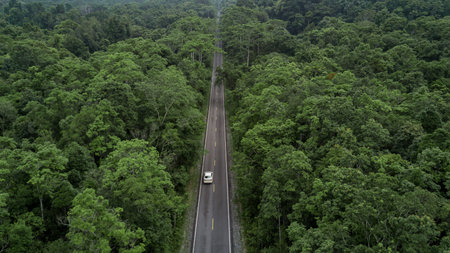 Electric vehicle car going through forest, EV electrical energy for environment, Nature power...