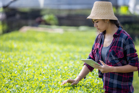 Young asian women smart farmer using tablet management agriculture vegetable with smart technology,...