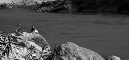 a black n white man sitting on big stone watching river flow peacefullyの写真素材