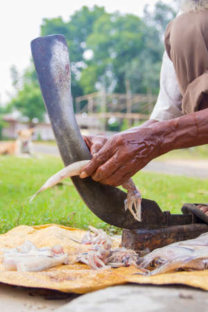 a fisherman cut fishes with a big knife for saleの写真素材
