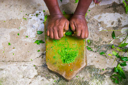 a medicine man grinding neem leaves and turmeric for making medicineの写真素材