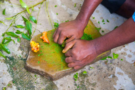a medicine man grinding neem leaves and turmeric for making medicineの写真素材