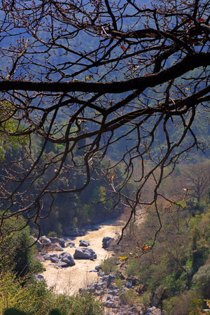 Alcantara  a foreshortening of the river and a tree in the foreground