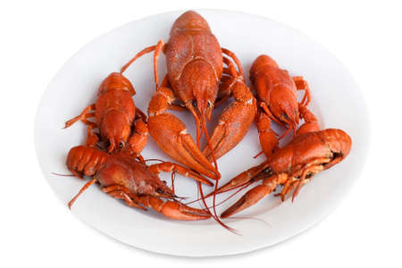red crayfish on a plateの写真素材