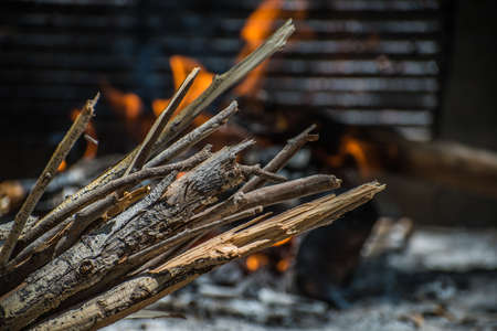 wood for firewood, campfire and grill in the backgroundの写真素材