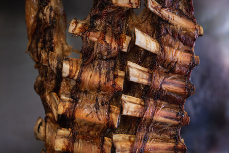Argentine beef ribs slowly cooking to the flames
