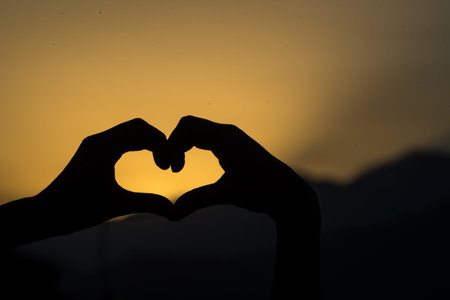 person making silhouettes with their hands in the darkness of a sunset