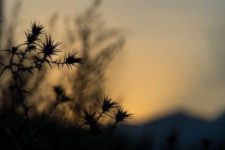 landscape in the shadows of a sunset, clear skyの写真素材