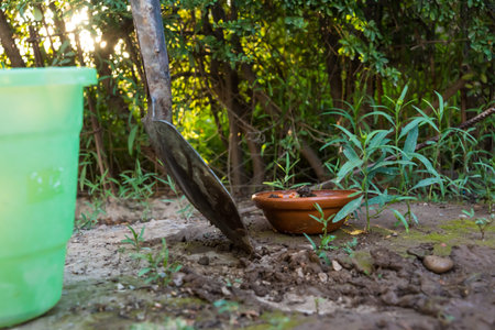 person planting seeds in your garden