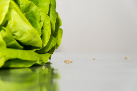 whole spinach plant on a tableの写真素材