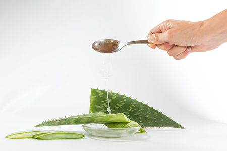 person removing the pulp of Aloe Vera leaves with a spoonの写真素材