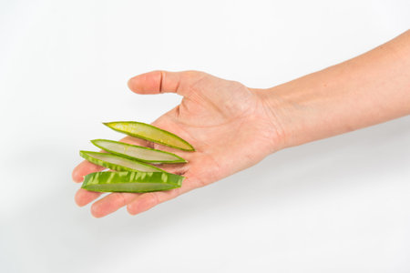 person holding pieces of an Aloe Vera leafの写真素材