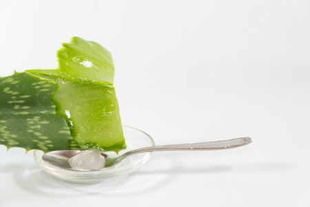 Aloe Vera leaf and pulp in a glass container with a spoonの写真素材