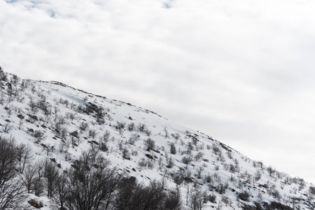 A mountain covered in shallow snow. Bushes peeking out of the snow. Cloudy blue sky. Log cabin. Wood lodgeの写真素材