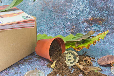 Concept, Fall of bitcoin. Bitcoin exchange rate decline. Impairment of Bitcoinのeditorial素材