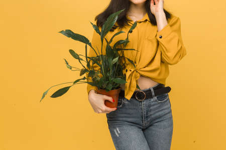 Close up photo of young female holds plant. Wears yellow shirt and jeans, isolated yellow color backgroundの写真素材