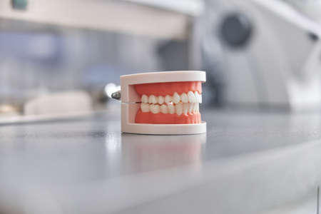 Close up about brushing teeth in clinic. Health care and maintenance with expert conceptの写真素材