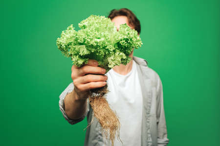 Close up man holds salad, isolated on green backgroundの写真素材
