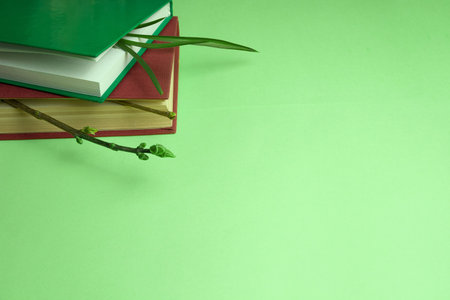 Spring shoots on branches and grass come out of the pages of books. Shot from above